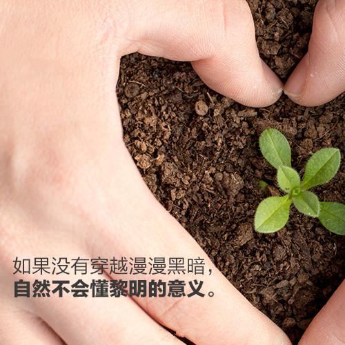 早安励志语录：当你踮起脚尖靠近太阳时，全世界都挡不住你的阳光